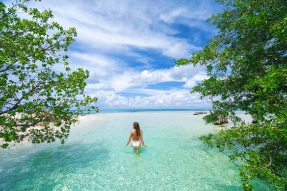 RCI, Western Caribbean Excursions 2.jpg